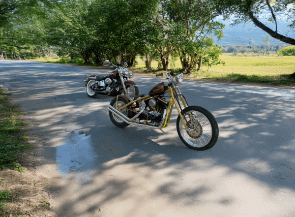 Award winning Sportster "Rootbeer" by Godfather custom cycles