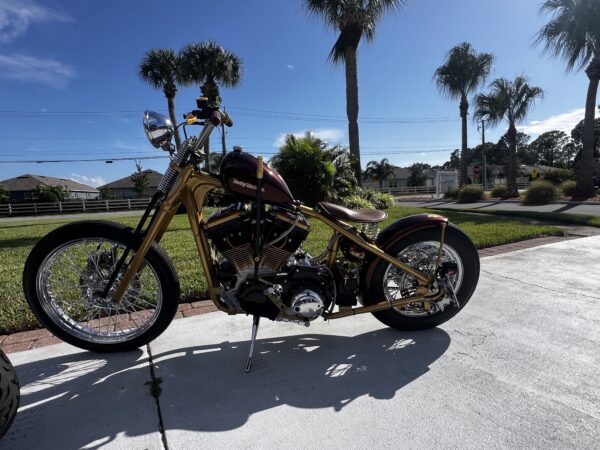 Root Beer paint motorcycle side view